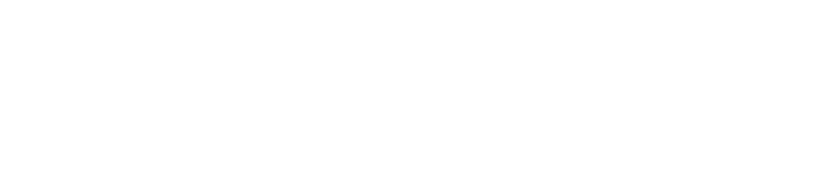 Check Point